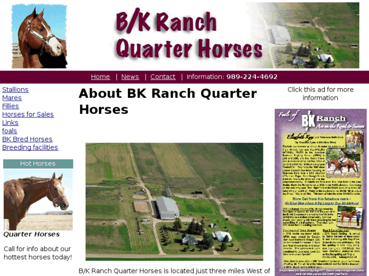 www.bkranchqh.com