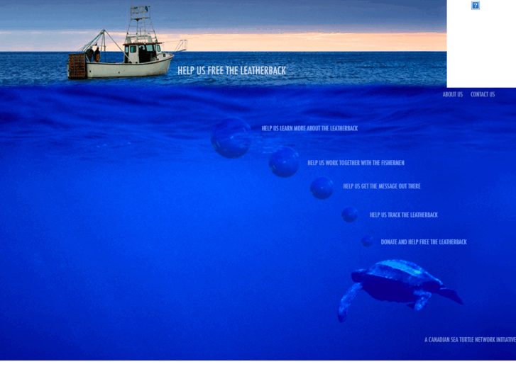 www.freetheloggerhead.net