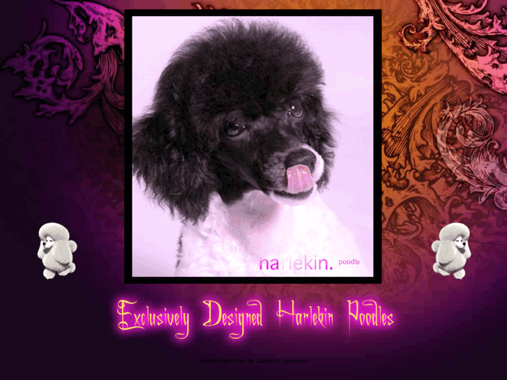 www.harlekin-poodle.com