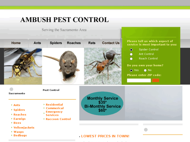 www.pest-control-sacramento.net