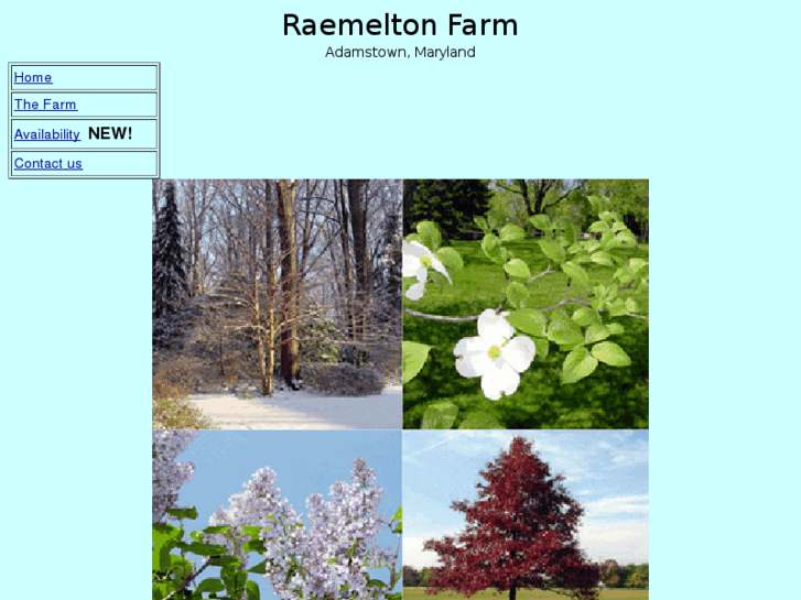 www.raemelton.com