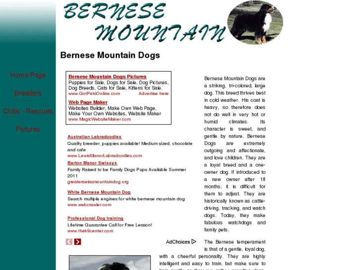 www.bernese-mountain-dogs.org