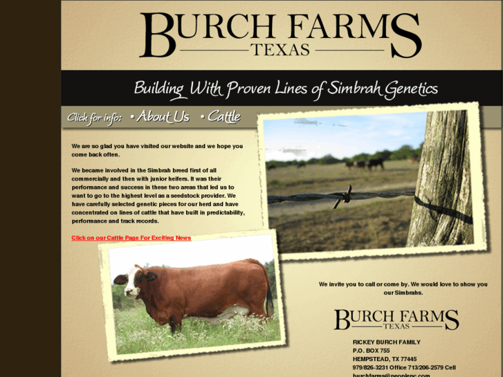 www.burchcattle.com