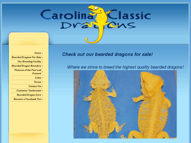 www.carolinaclassicdragons.com