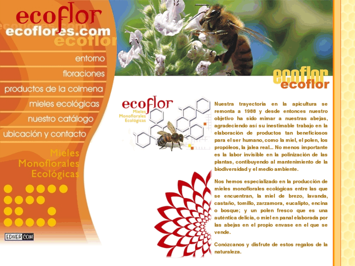 www.ecoflores.com