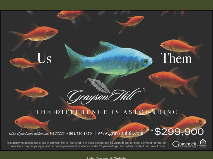 www.grayson-hill.com