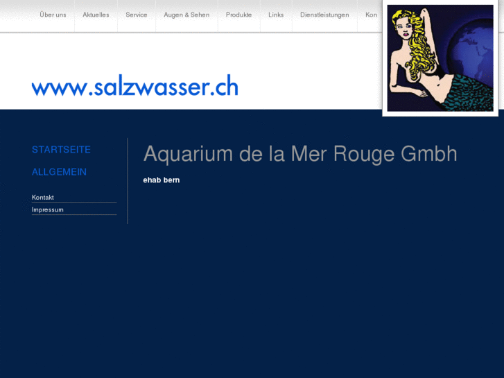 www.salzwasser.ch