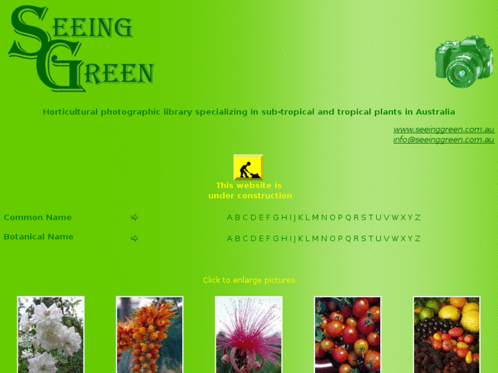 www.seeinggreen.com.au