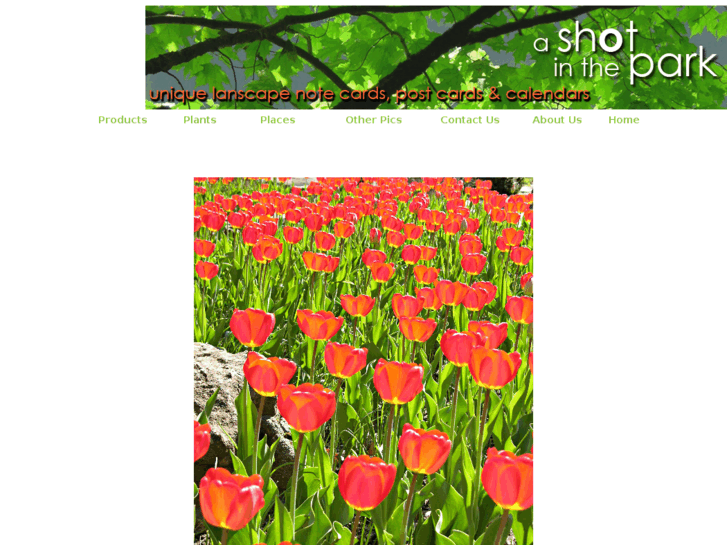 www.shotinthepark.com