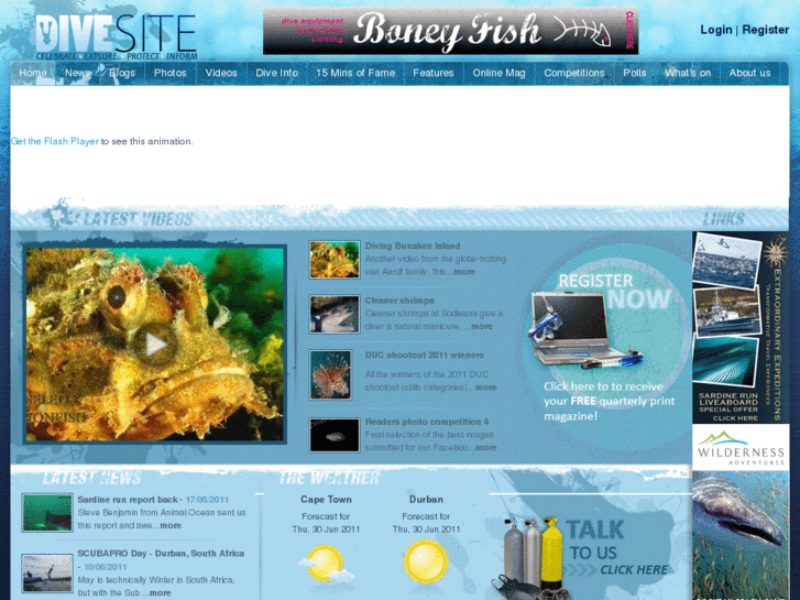 www.thedivesite.co.za