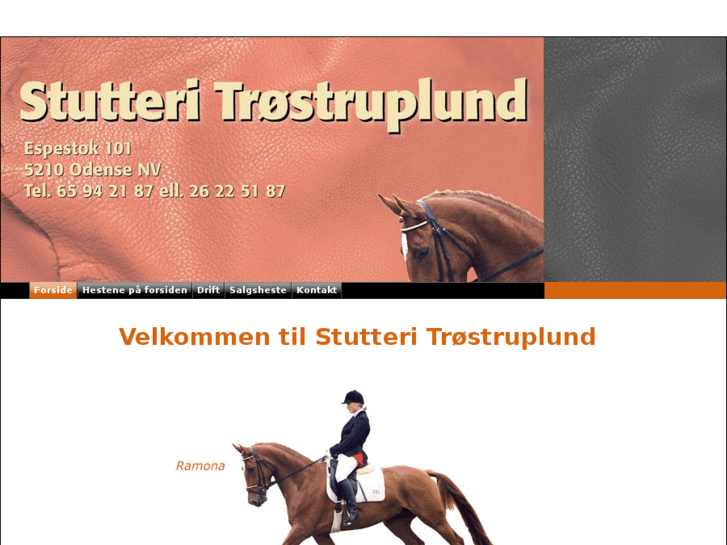 www.troestruplund.dk