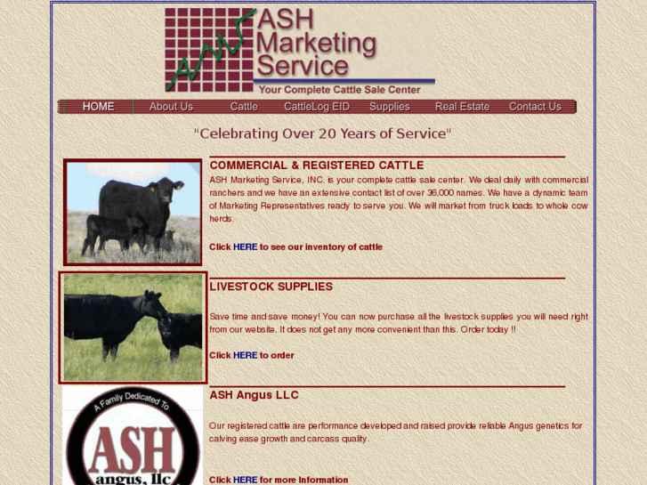 www.ashcattle.com