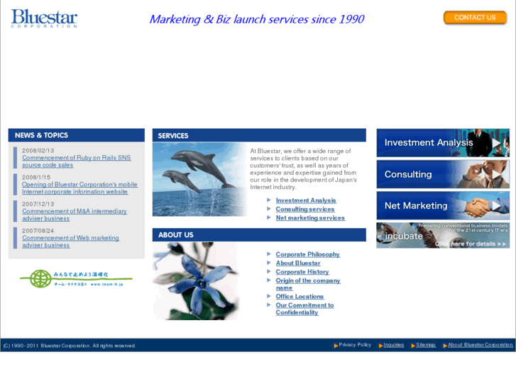 www.bluestar-consulting.com