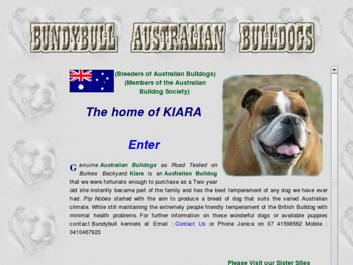 www.bundybullaustralianbulldogs.com