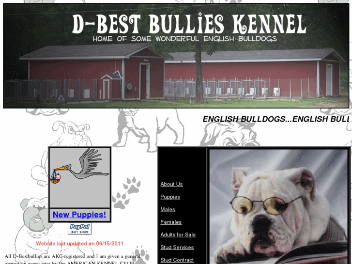 www.dbestbullies.com