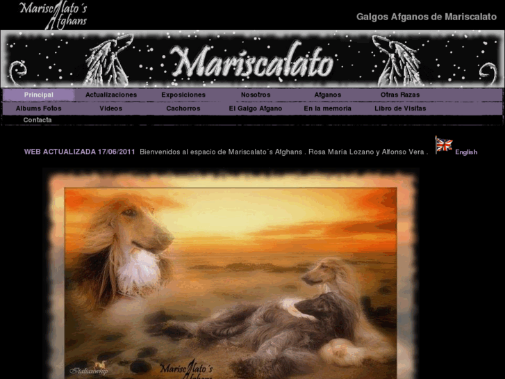 www.galgosafganos.es