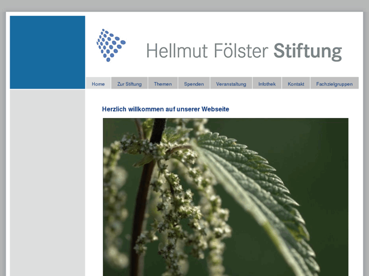 www.hellmut-foelster-stiftung.de