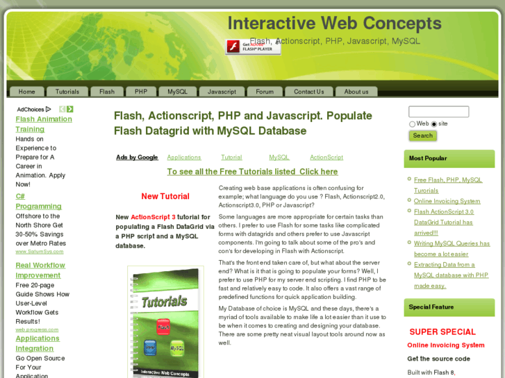 www.interactivewebconcepts.net