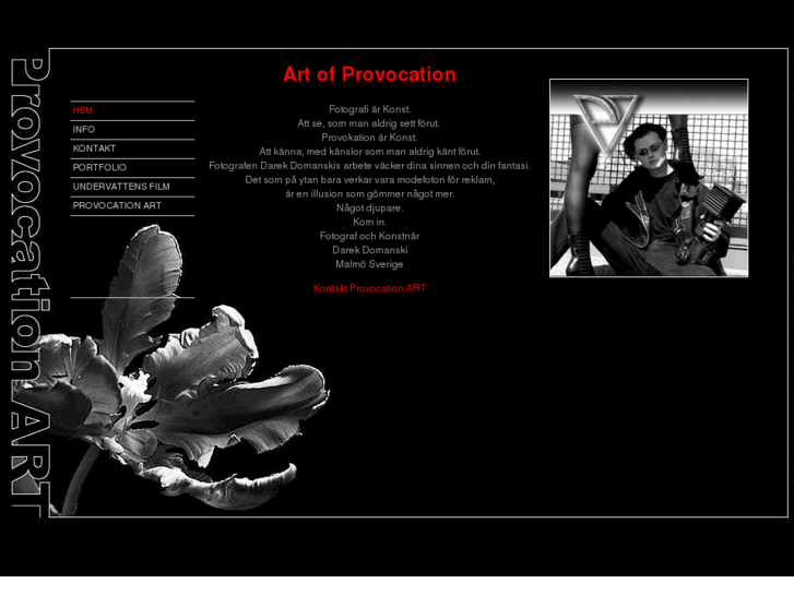 www.provocationart.com