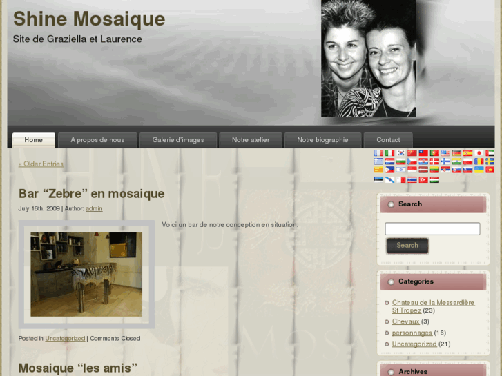 www.shine-mosaique.com