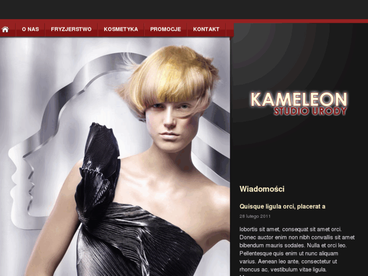 www.studio-kameleon.com