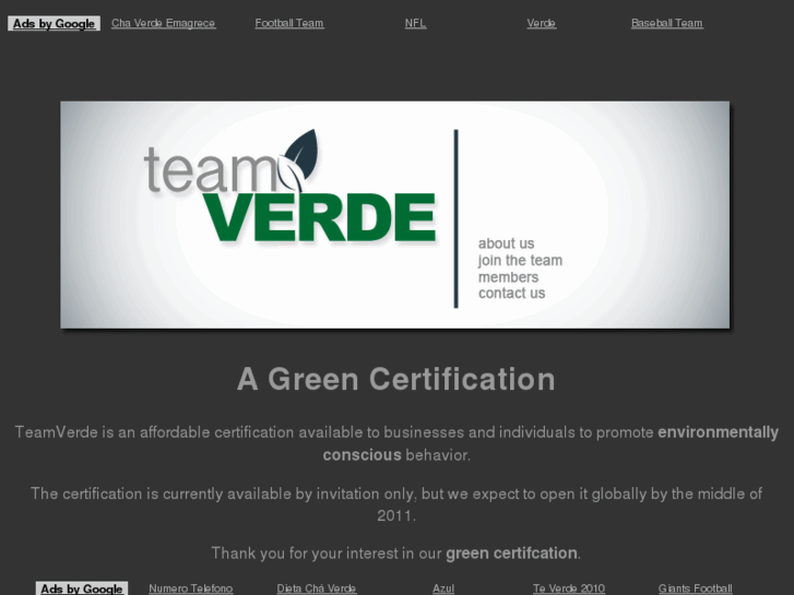 www.teamverde.com