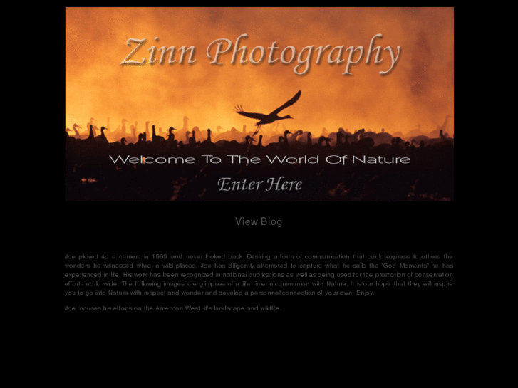 www.zinnphotography.com