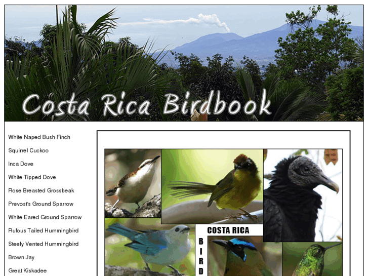 www.costaricabirdbook.com