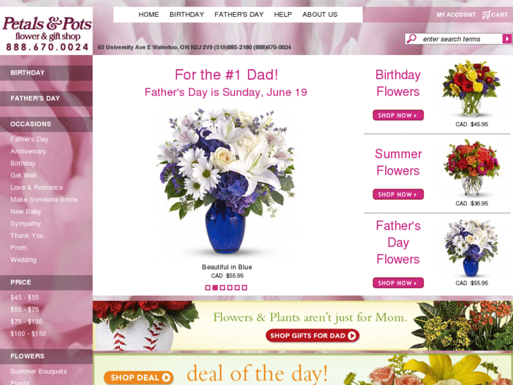 www.kitchenerflorists.com