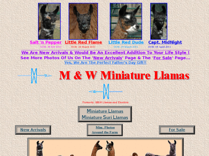 www.mwllamas.com