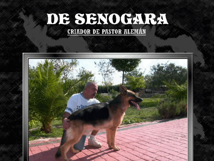 www.pastoralemandesenogara.com