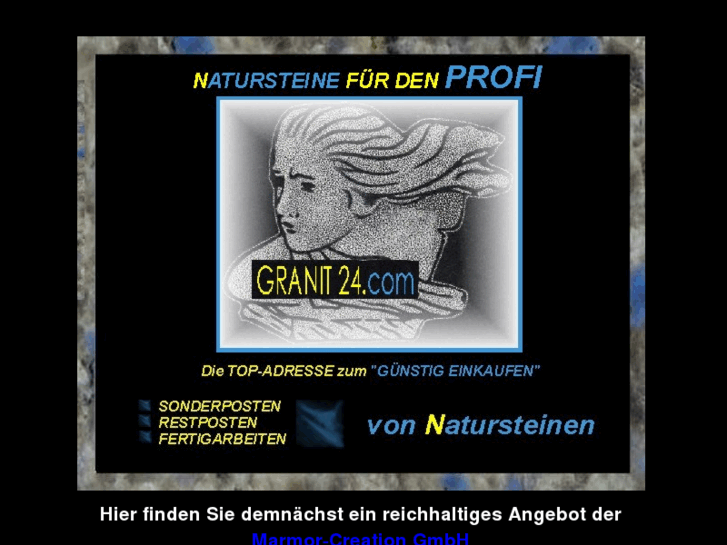 www.profiseller24.com