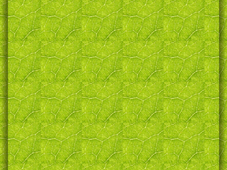 www.trendyflashsitebuilder.net