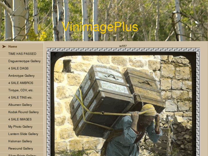 www.vinimageplus.com