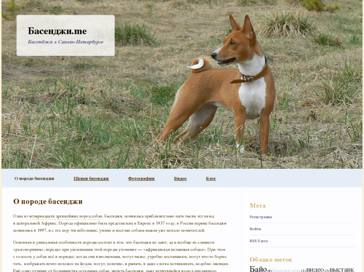 www.basenji.me