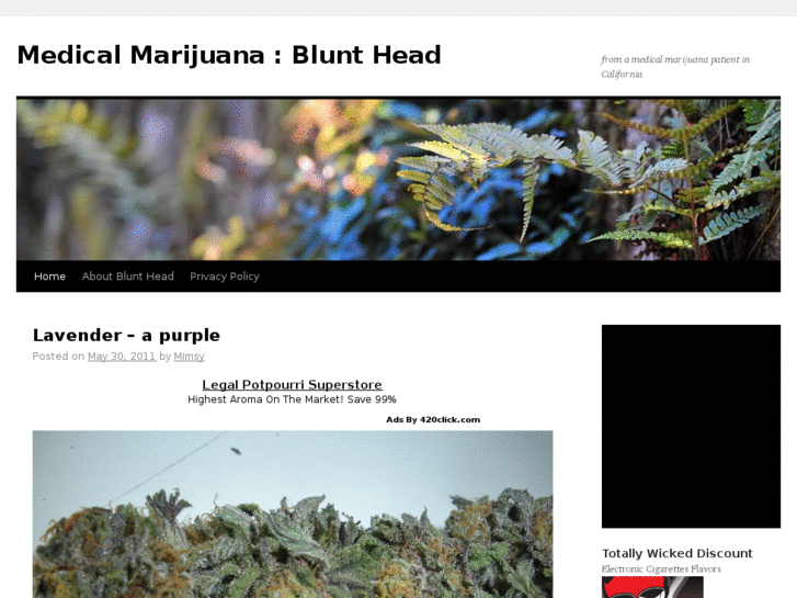 www.blunthead.com