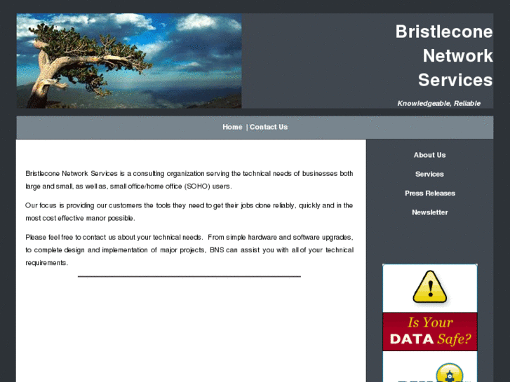 www.bristlenet.com