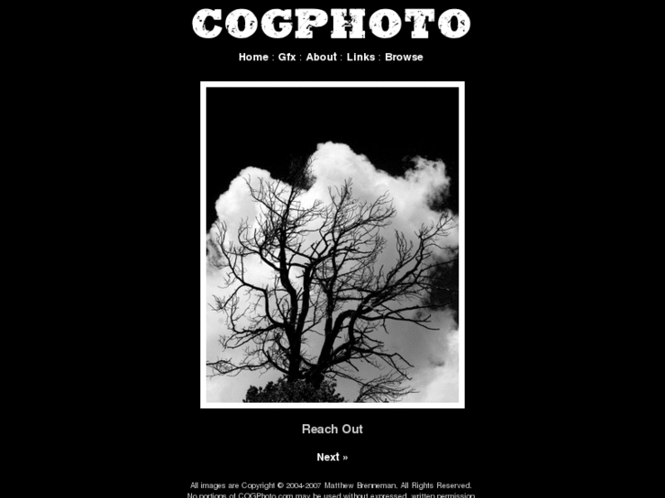 www.cogphoto.com