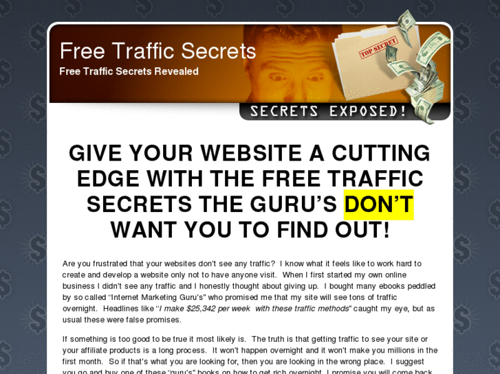 www.free-traffic-secrets.com