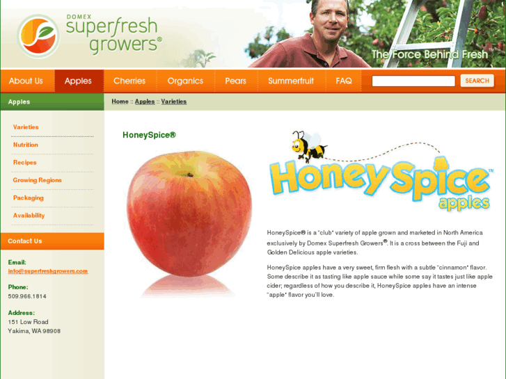 www.honeyspice.com