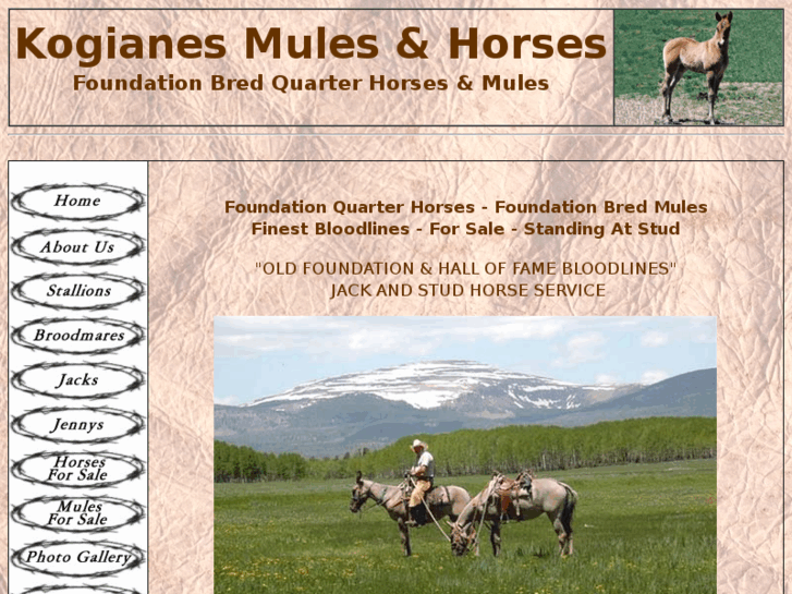 www.mulesandhorses.com