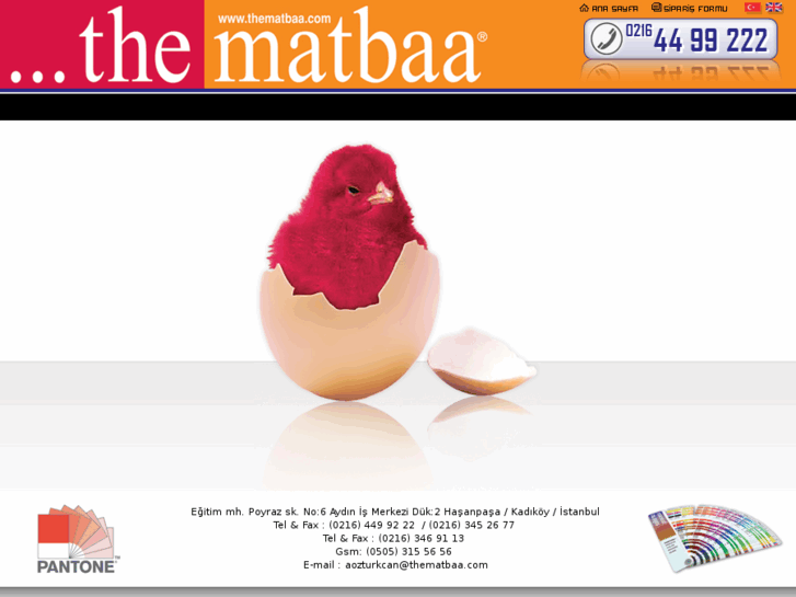 www.thematbaa.com