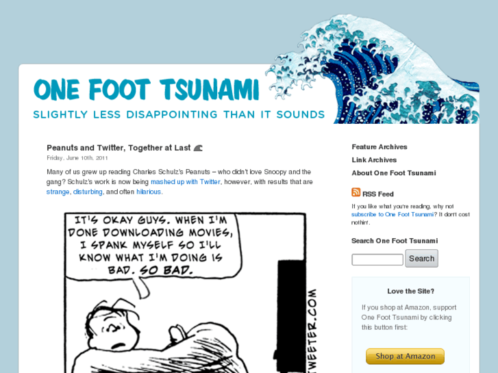 www.1foottsunami.com