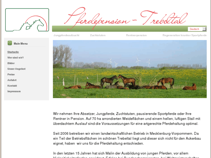 www.pferdepension-trebeltal.com