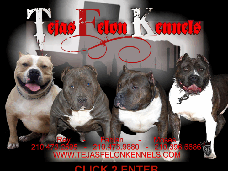 www.tejasfelonkennels.com