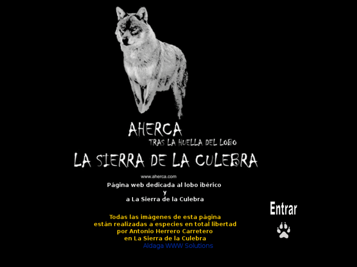 www.aherca.com