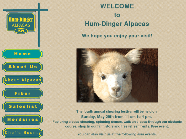 www.humdingeralpacas.com