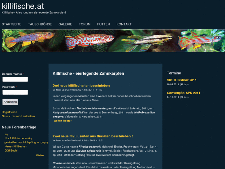 www.killifish-international.com