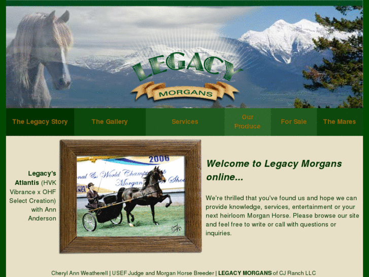 www.legacymorganhorses.com