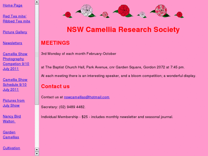 www.camelliasnsw.org